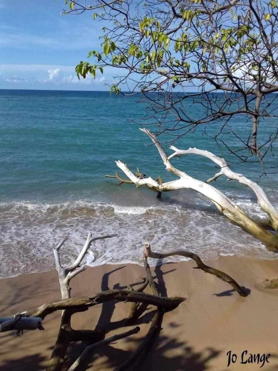 Meryem La Trinité Cameră foto